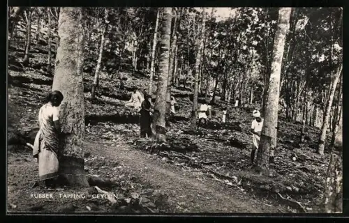 AK Ceylon, Rubber Tapping