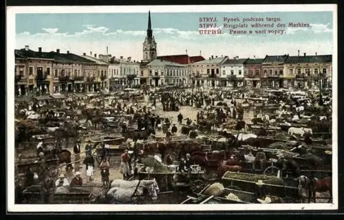 AK Stryj, Ringplatz während des Marktes