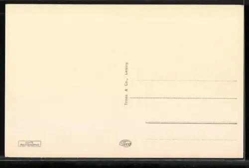 AK Elbing, Rathaus mit Erweiterungsgebäude