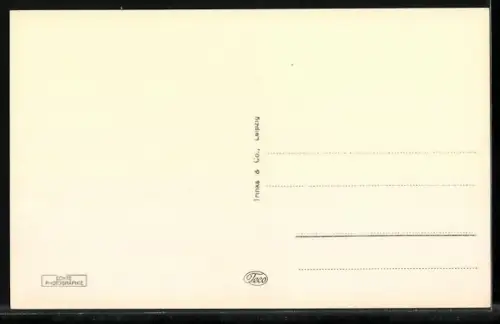 AK Elbing / Elblag, Blick auf den Fischmarkt