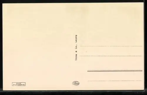 AK Elbing / Elblag, Postamt und Kaiser-Wilhelm-Denkmal