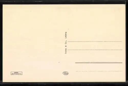 AK Elbing, Alter Markt aus der Vogelschau