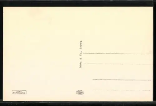 AK Elbing, Marienkirche, Friedrich-Wilhelm-Platz, Rathaus, Stadtwappen