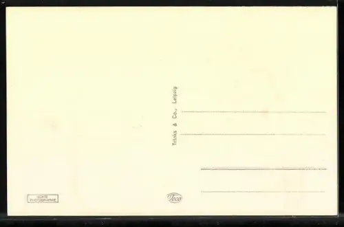 AK Königsberg, Kaskaden am Schlossteich