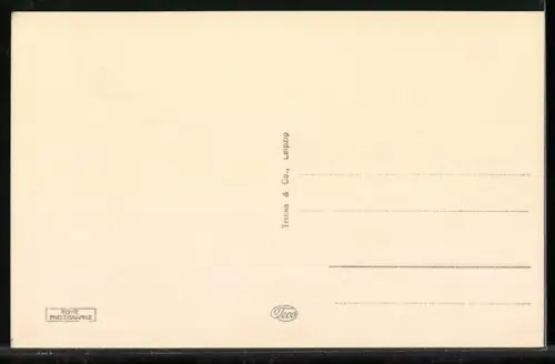 AK Elbing / Elblag, Blick zur Jahnschule