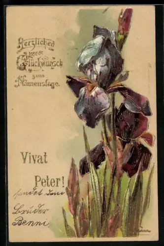 Künstler-AK Catharina Klein: Violette Blume zwischen Gräsern, Glückwunsch zum Namenstag