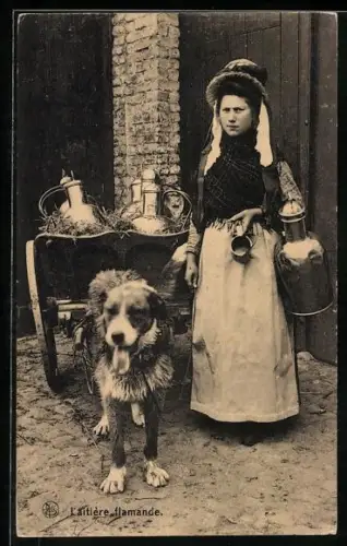 AK Vlaamsche Melkboerin, Milchbäuerin mit Hundegespann