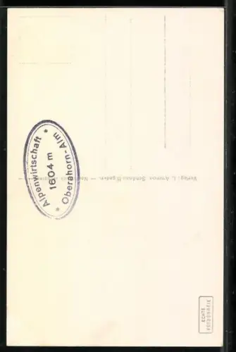 AK Raupenschlepperauto am Eckersattel mit Göll und Putschellerhaus