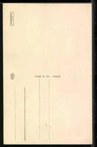 AK Elbing / Elblag, Blick auf den Balkbrunnen