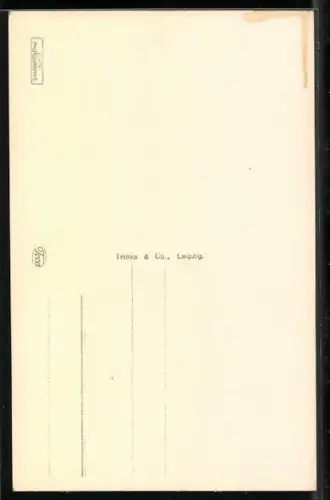 AK Elbing / Elblag, Blick auf den Balkbrunnen