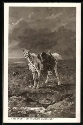 AK Ein Schimmel im Sturm wartet auf seinen Reiter