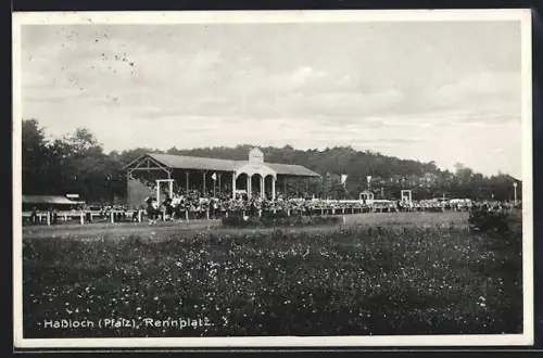 AK Hassloch / Pfalz, Pferdesport am Rennplatz