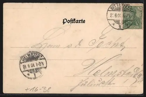 Passepartout-Lithographie Bitterfeld, Teilansicht mit Strassenpartie