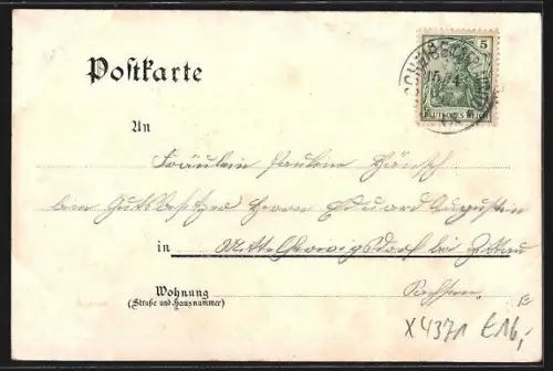 Lithographie Maxdorf b. Weigsdorf, Gasthof zum Hirsch, Feuerwehrturm, W. Gärtner`s Warenhandlung, Totalansicht