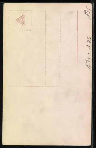 AK Kaiser Franz Josef I. von Österreich, Nikolaus II. Kaiser von Russland, König Peter von Serbien