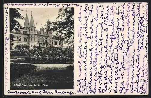 AK Frauenau /Bayerischer Wald, Schloss Frauenau