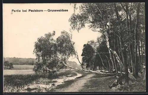 AK Berlin-Grunewald, Partie bei Paulsborn