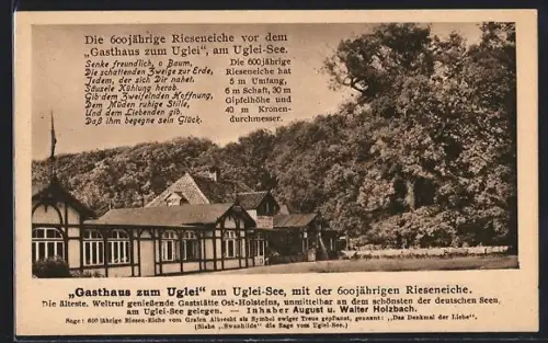 AK Uglei-See, Gasthaus zum Uglei, 600jährige Rieseneiche