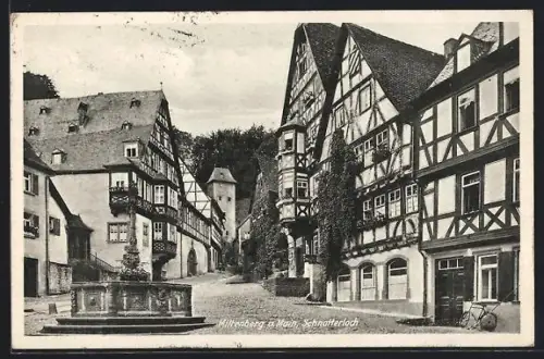 AK Miltenberg a. Main, Schnatterloch, Fachwerkhäuser