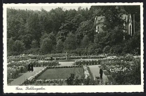 AK Gera, Dahliengarten