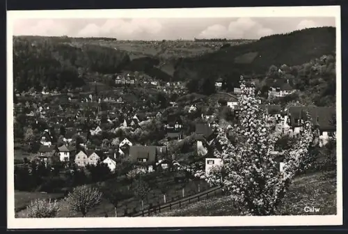 AK Calw, Panoramaansicht des Ortes