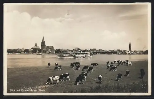 AK Emmerich am Rhein, Blick auf den Ort, Kühe auf der Weide