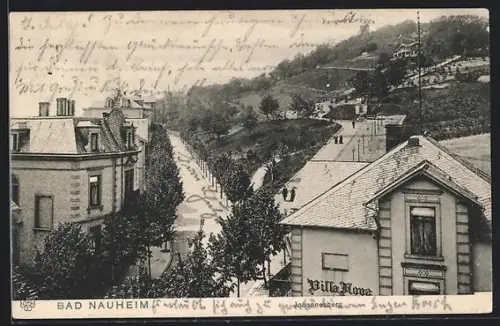 AK Bad Nauheim, Villa Nova, Strassenansicht