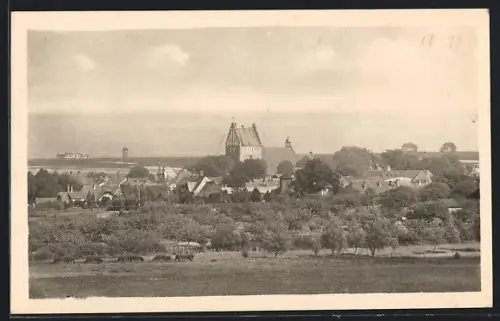 AK Heiligenhafen i. Holst., Ortsansicht mit Bäumen