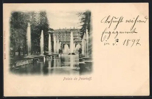 AK Peterhoff, Le Palais