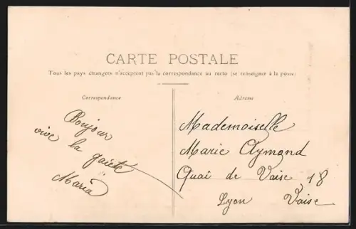 AK Vienne /Isère, Cours Romestang avec calèche et arbres majestueux