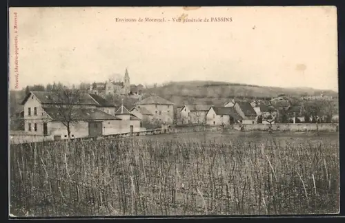 AK Passins, Vue générale du village avec vignobles au premier plan