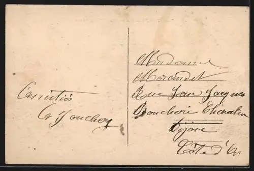 AK Seyssuel, Sanatorium de Seyssuel, Vue générale