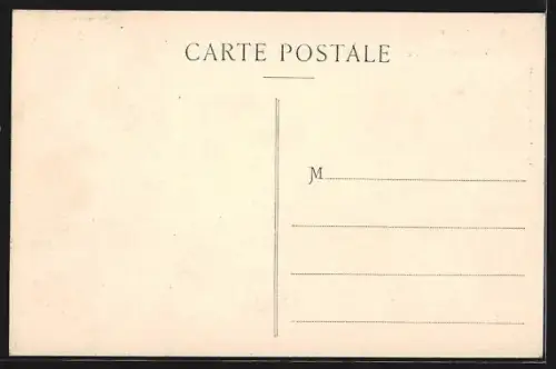AK Pinsot /Isère, Vue générale, prise de la Route de la Ferrière
