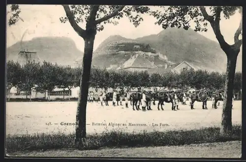 AK Grenoble, Batteries Alpines en Manoeuvre, Les Forts