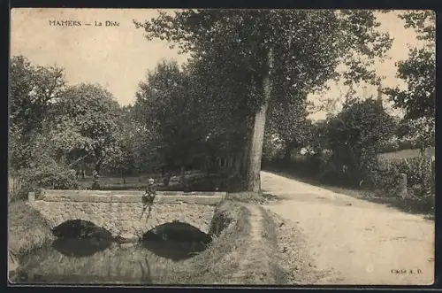 AK Mamers, La Dive avec pont en pierre et paysage bucolique