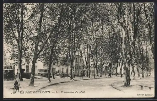 AK La Ferté-Bernard, Les Promenades du Mail