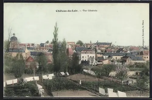 AK Château-du-Loir, Vue Générale