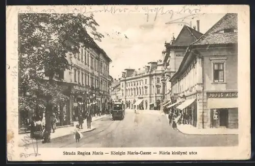AK Hermannstadt, Königin Maria-Gasse, Strassenbahn