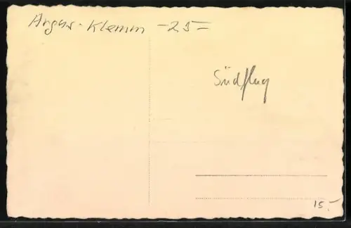 Foto-AK Zwei Piloten in Klemm 25 Schulflugzeug Südflug