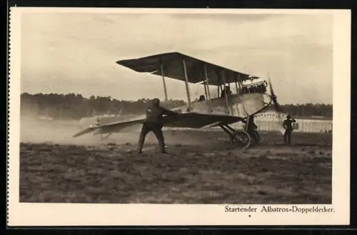 AK Startender Albatros-Doppeldecker, Flugzeug