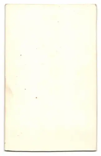 Fotografie Prinz Alexander Alexandrowitsch (Zar Alexander III. v. Russland), Prinz Wladimir Alexandrowitsch Romanow