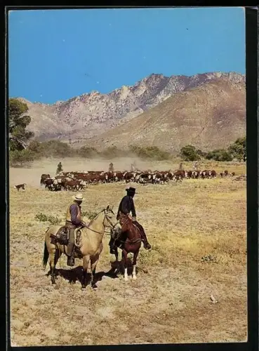 AK Szene aus der Serie Bonanza mit den Cartwrights auf Pferden