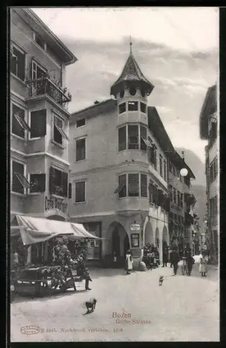 AK Bozen, Dackel in der Göthe-Strasse