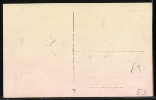 AK Torbole, Panorama
