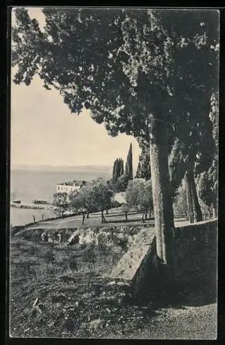 AK S. Vigilio, Motiv