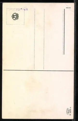 AK Pieve di Livinallongo / Buchenstein, Teilansicht mit Kirche