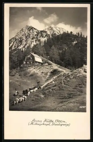 AK Anna-Hütte auf dem Mittagskogel mit Schafherde