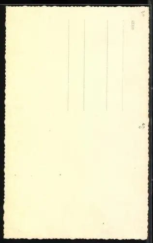 AK Dominikushütte mit Blick in die Berge