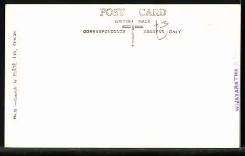 AK Ceylon, Plucking Tea, UP-Country Estate