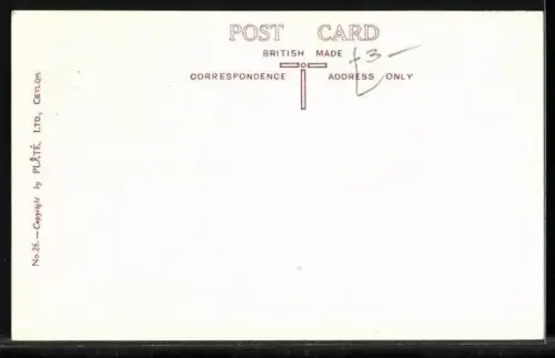 AK Ceylon, Plucking Tea, UP-Country Estate